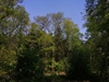 keersop20240501