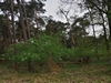 keersop20240501