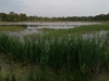 keersop20240501