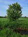 keersop20240511