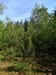 keersop20240512