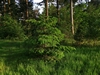 keersop20240512