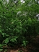 keersop20240516