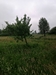 keersop20240517