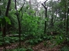 keersop0240524