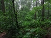 keersop0240524