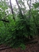 keersop0240524