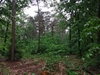 keersop0240524