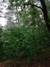 keersop0240524