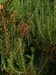 keersop20240602