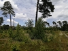 keersop20240604