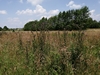 keersop20240607