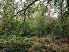 keersop20240608