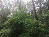 keersop20240610