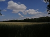 keersop20240611
