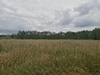 keersop20240612