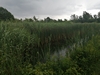 keersop20240612