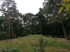 keersop20240620