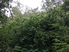 keersop20240621