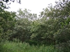 keersop20240622