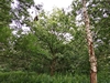 keersop20240622