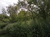 keersop20240622
