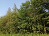 keersop20240624