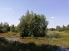 keersop20240626