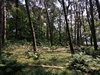 bergeijk20240627