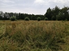 keersop20240629