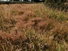 keersop20240629