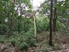 keersop20240630