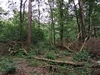 keersop20240630