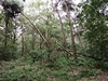 keersop20240630