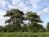 keersop20240713