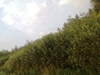 keerop20240727