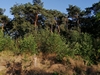 keersop20240805