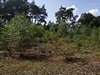keersop20240806