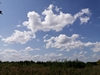 keersop20240806