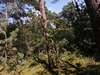 keerop20240808