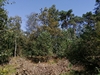 keersop20240812