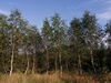 keersop20240815