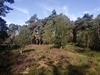 end_der_hoven20240823