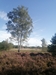 end_der_hoven20240823