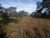 end_der_hoven20240823