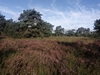 end_der_hoven20240823