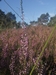 end_der_hoven20240823