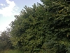 keersop20240825
