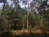 eersel20240827