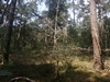 eersel20240827